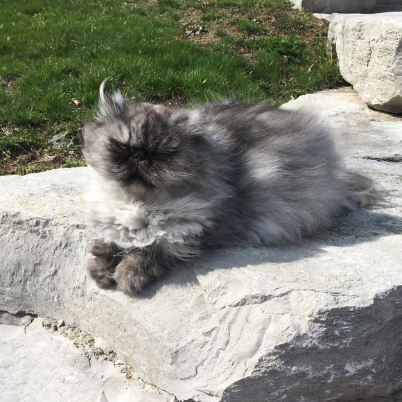 Meet your Posher, Mike - Picture 1 of 1